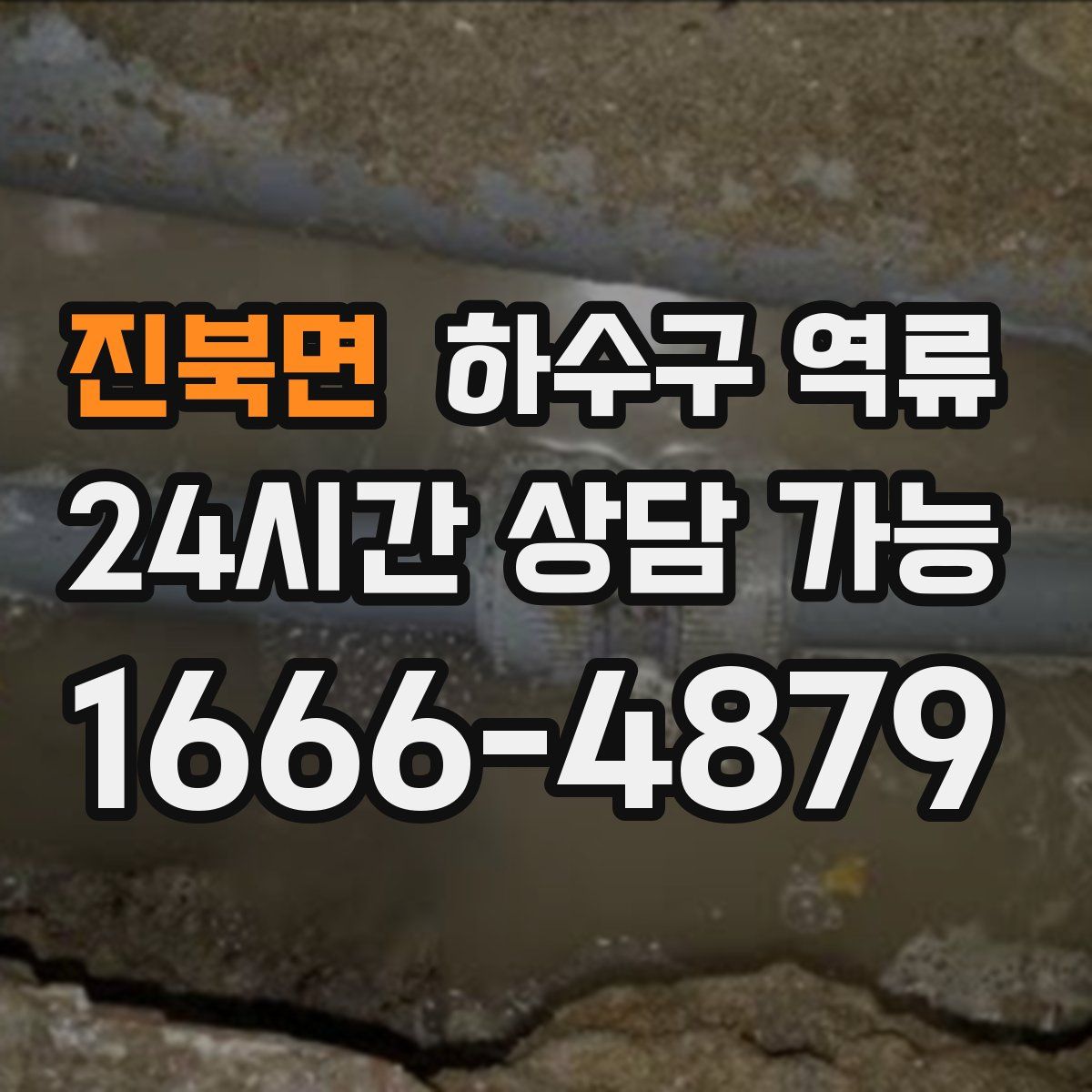 진북면 하수구 역류