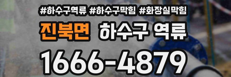 진북면 하수구 역류