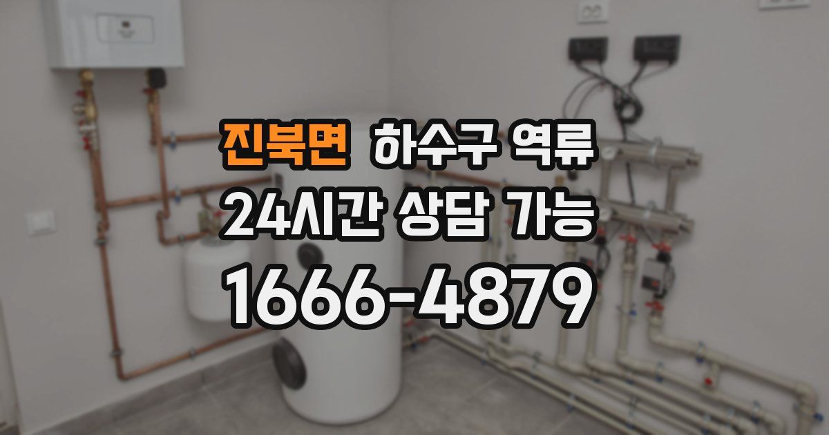 진북면 하수구 역류