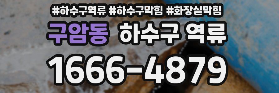 구암동 하수구 역류