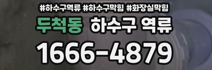 두척동 하수구 역류