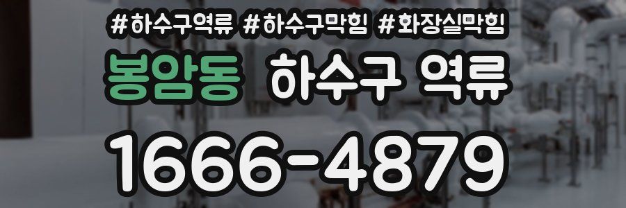 봉암동 하수구 역류