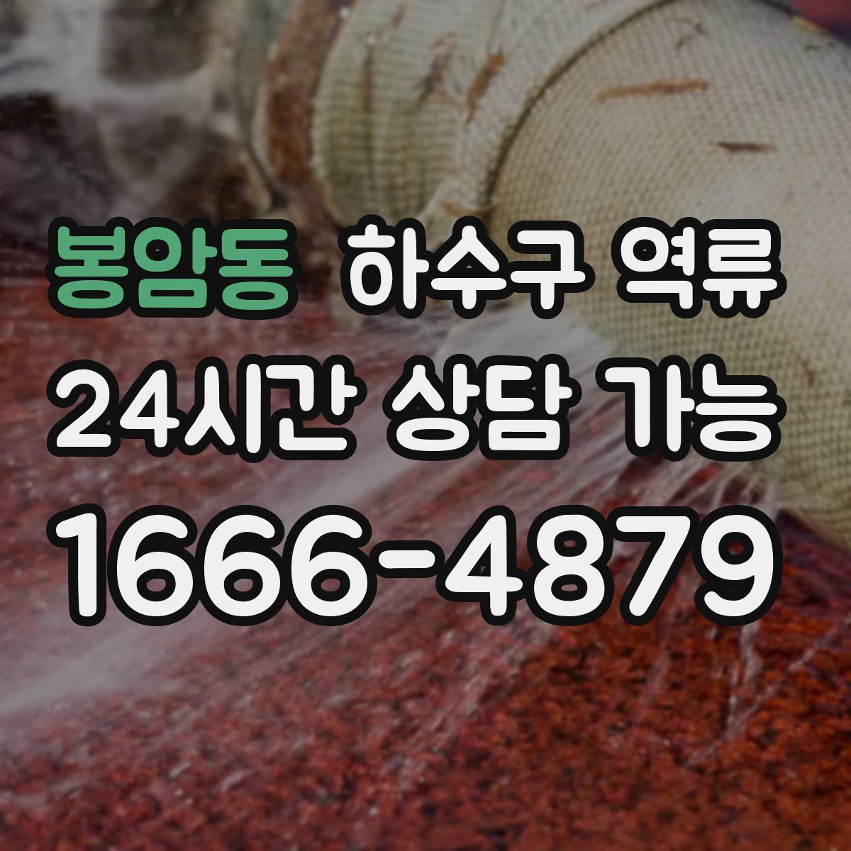 봉암동 하수구 역류