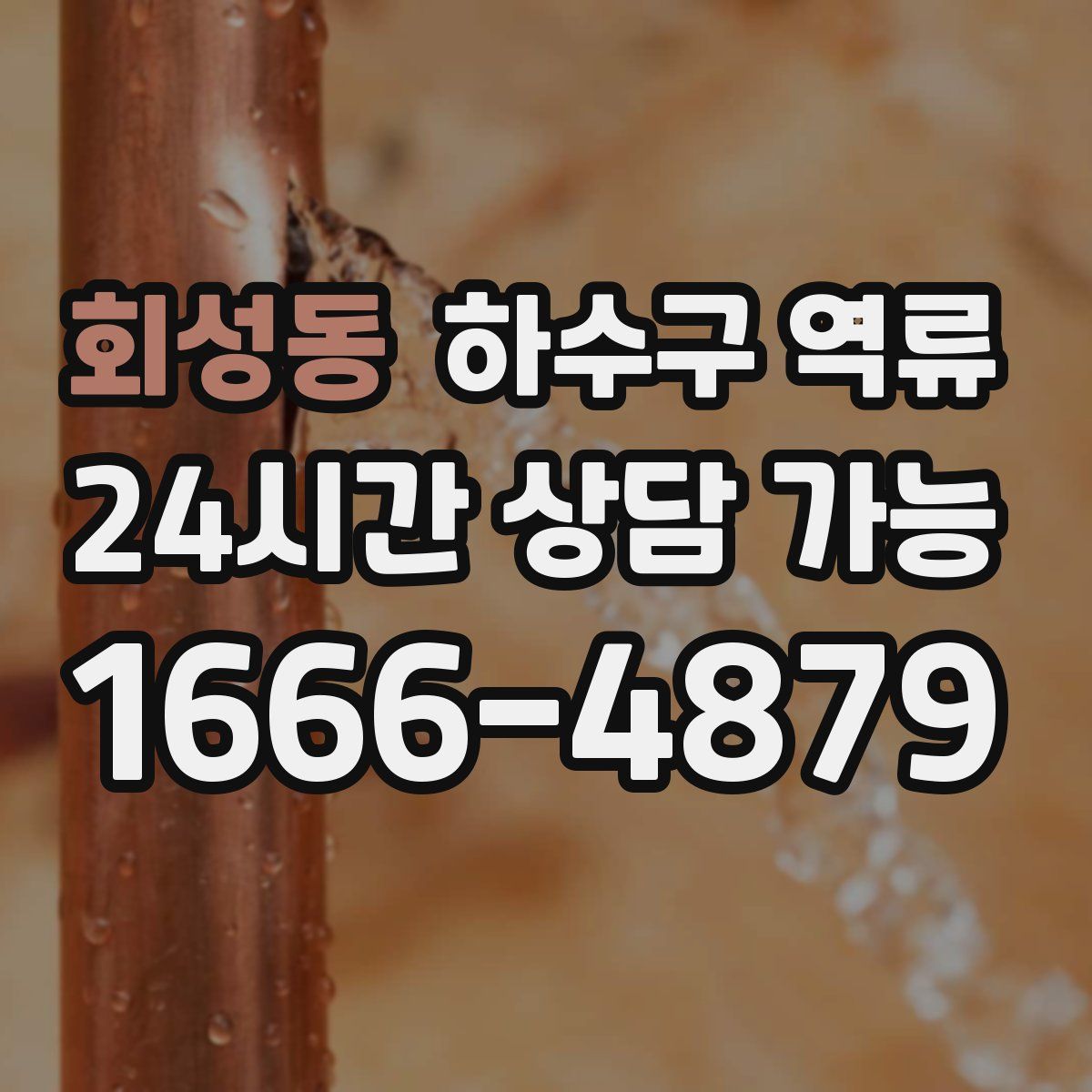 회성동 하수구 역류