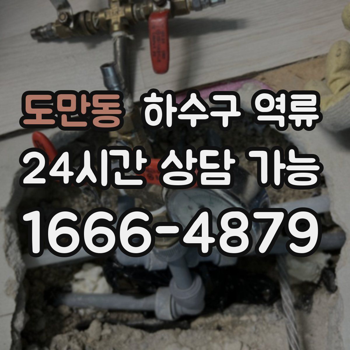 도만동 하수구 역류
