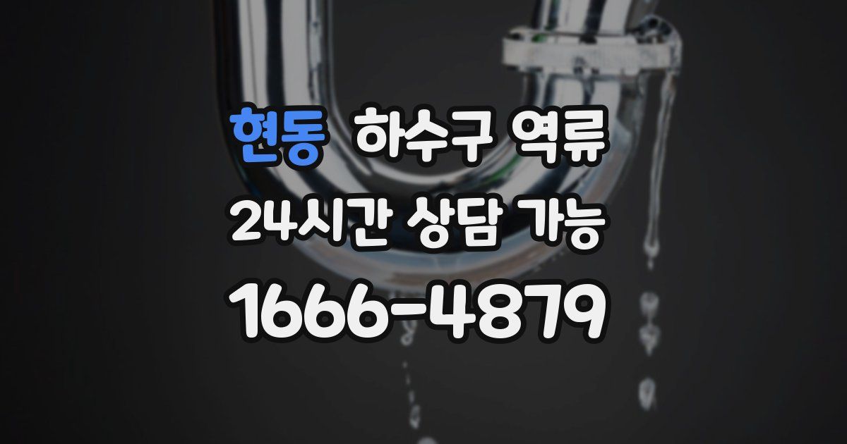 현동 하수구 역류