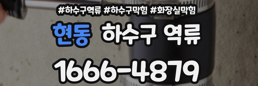 현동 하수구 역류