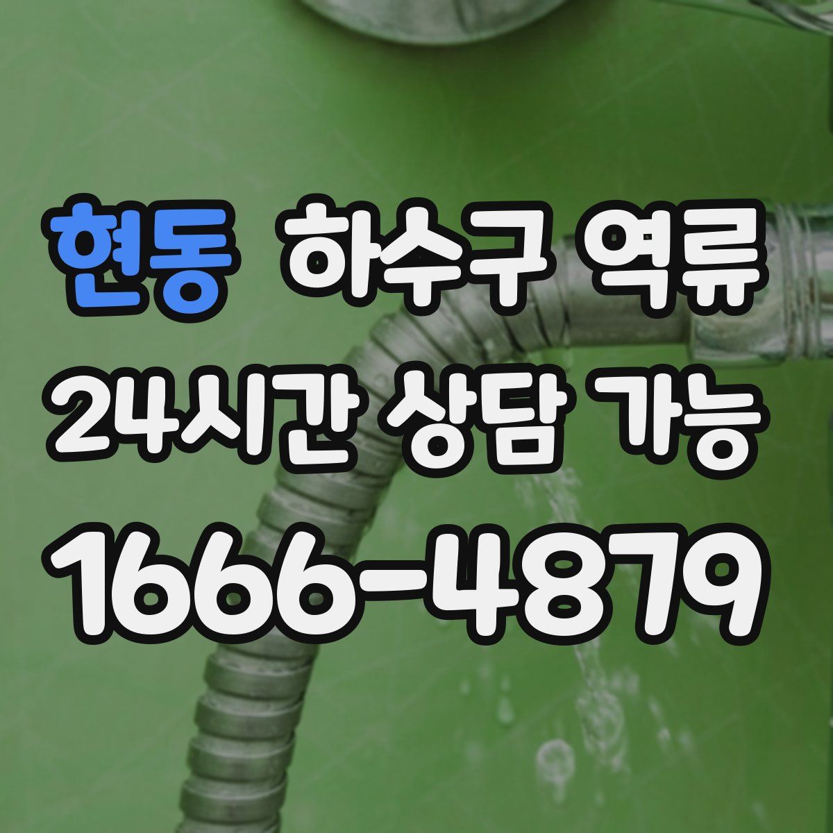 현동 하수구 역류