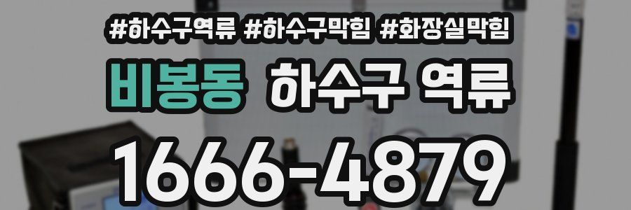 비봉동 하수구 역류