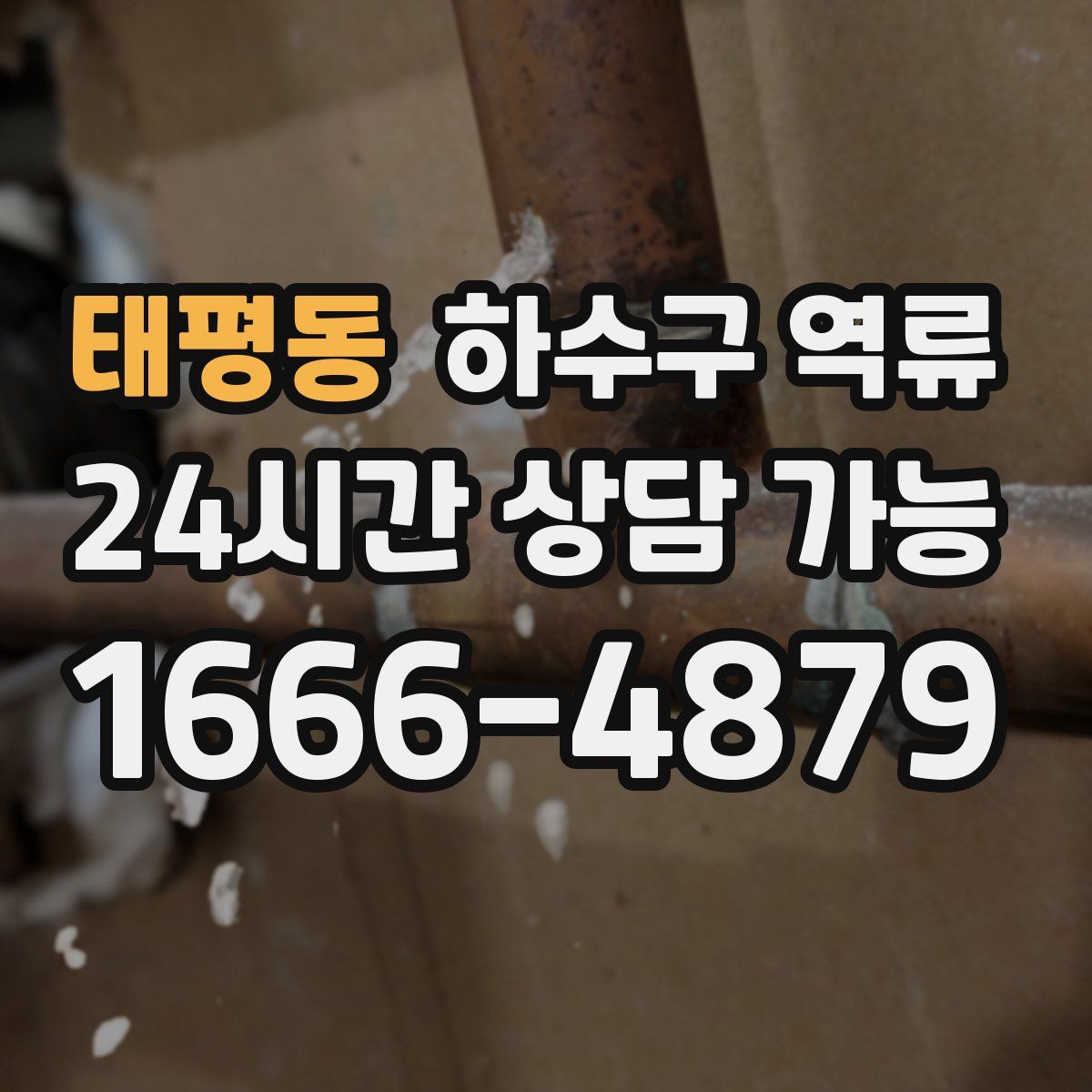 태평동 하수구 역류