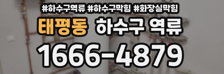 태평동 하수구 역류