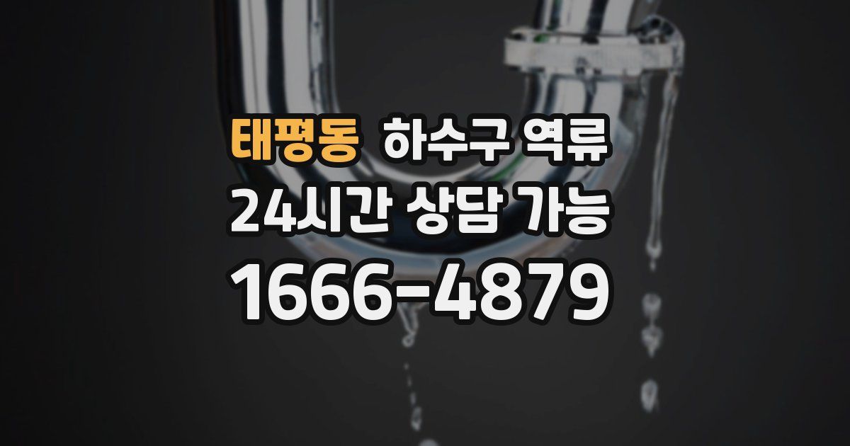 태평동 하수구 역류