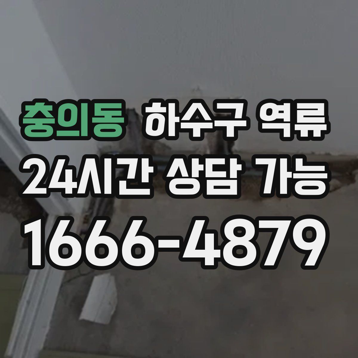 충의동 하수구 역류