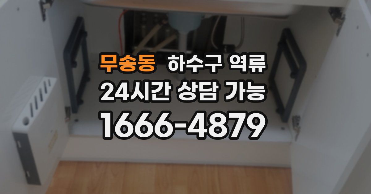 무송동 하수구 역류