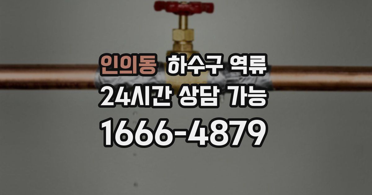 인의동 하수구 역류