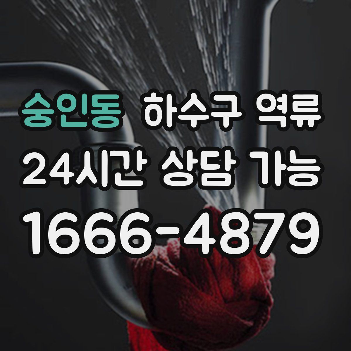 숭인동 하수구 역류