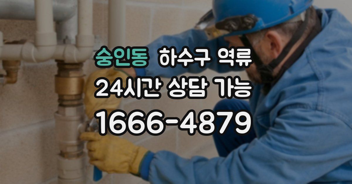 숭인동 하수구 역류