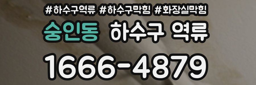 숭인동 하수구 역류