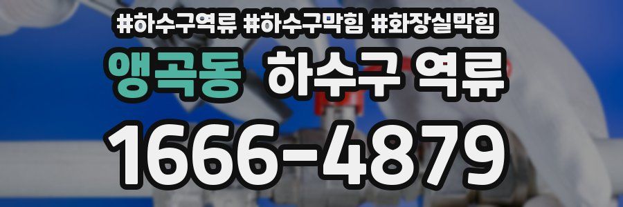 앵곡동 하수구 역류