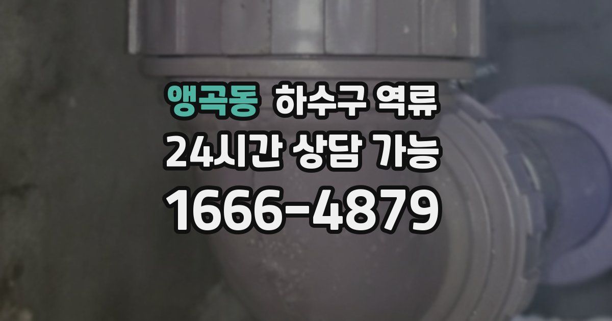 앵곡동 하수구 역류