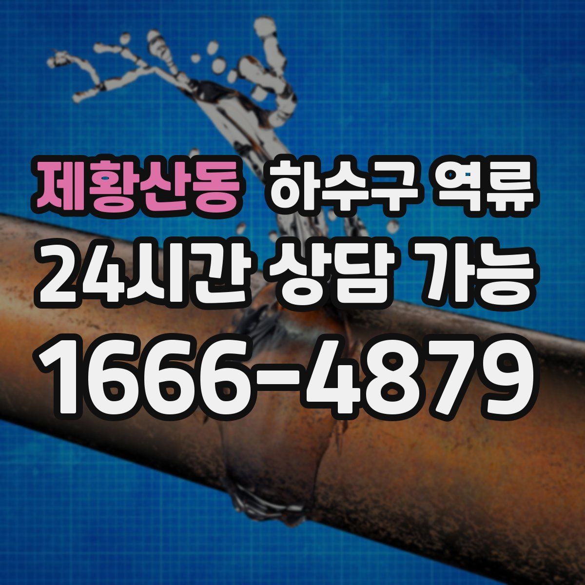 제황산동 하수구 역류