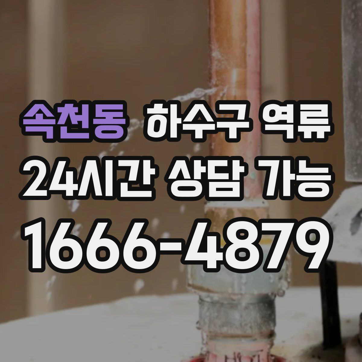 속천동 하수구 역류