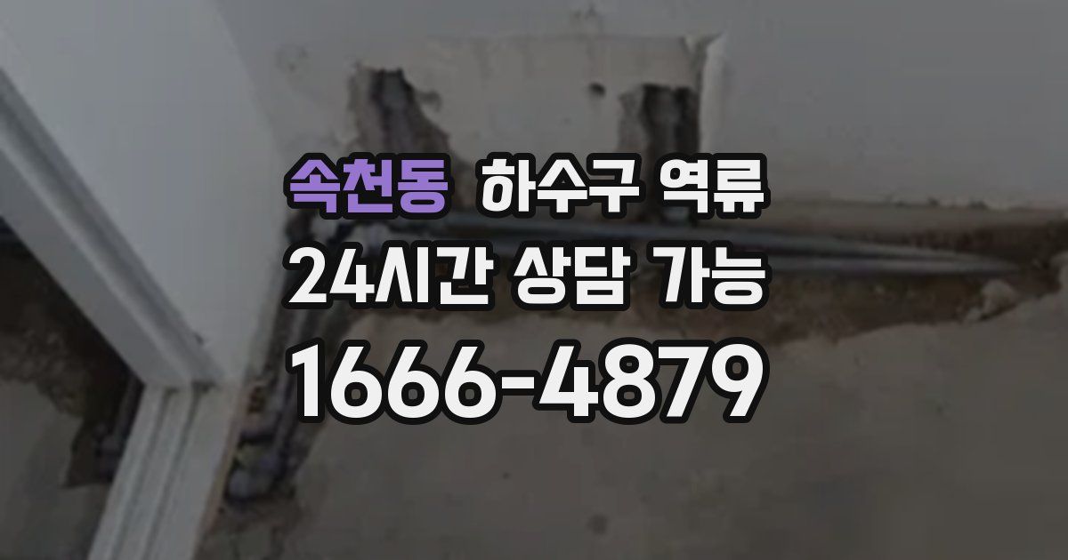 속천동 하수구 역류