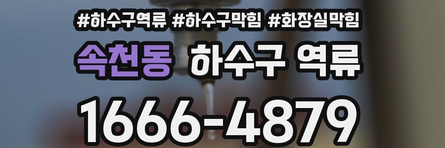 속천동 하수구 역류