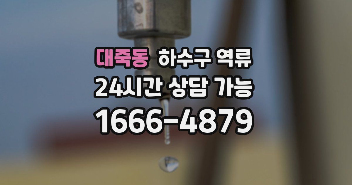 대죽동 하수구 역류