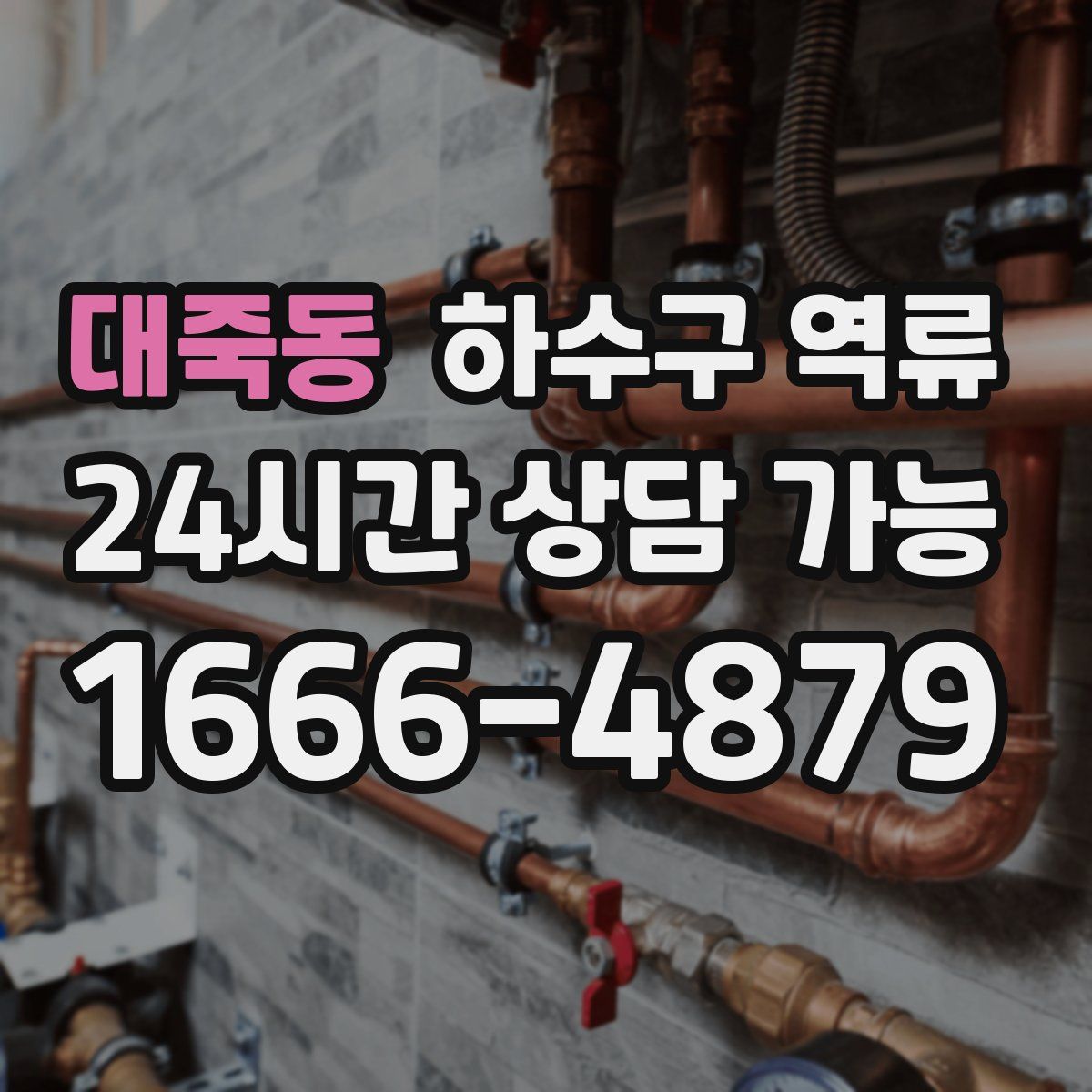 대죽동 하수구 역류