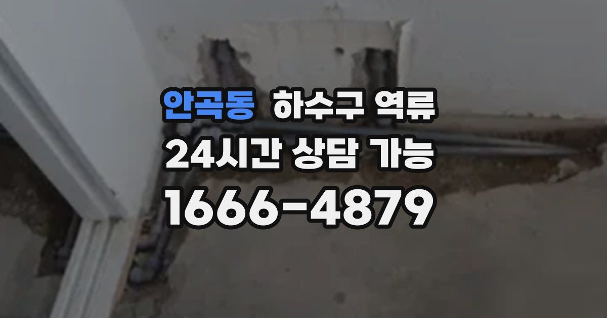 안곡동 하수구 역류