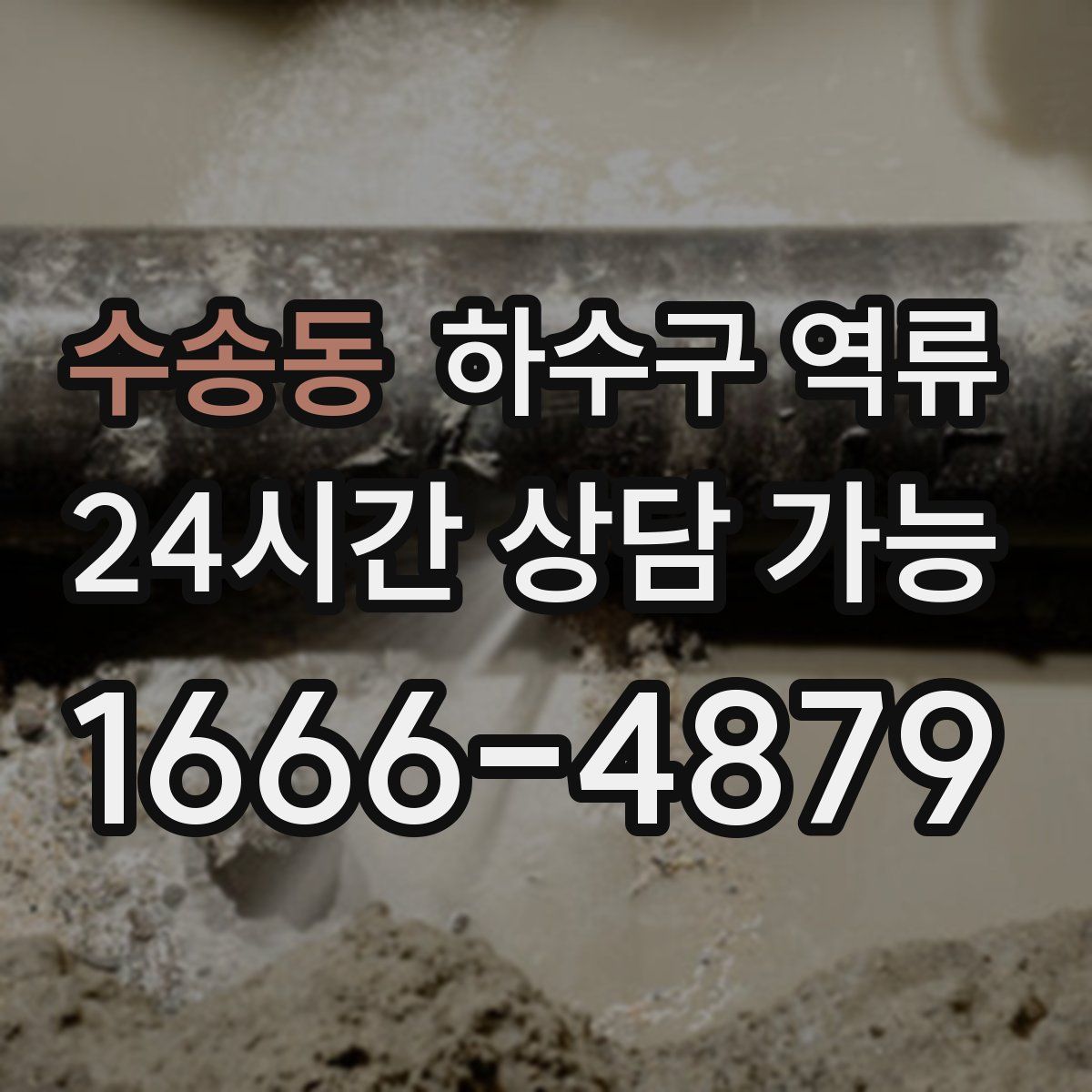 수송동 하수구 역류