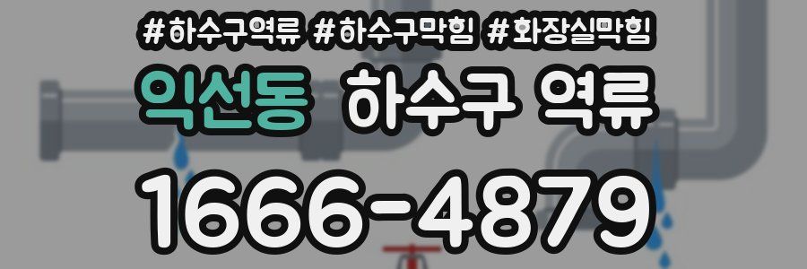 익선동 하수구 역류