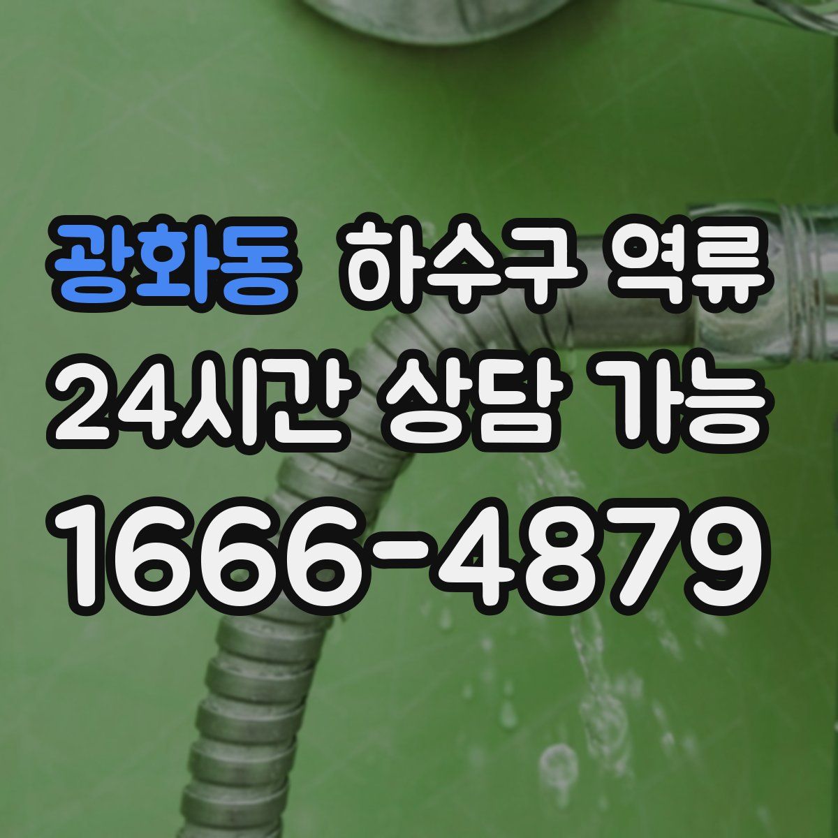 광화동 하수구 역류