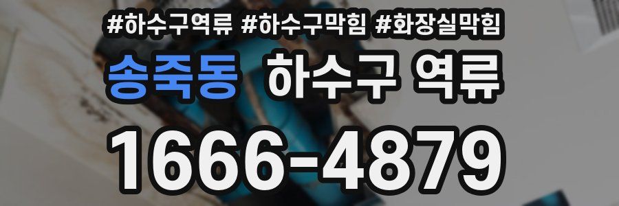 송죽동 하수구 역류