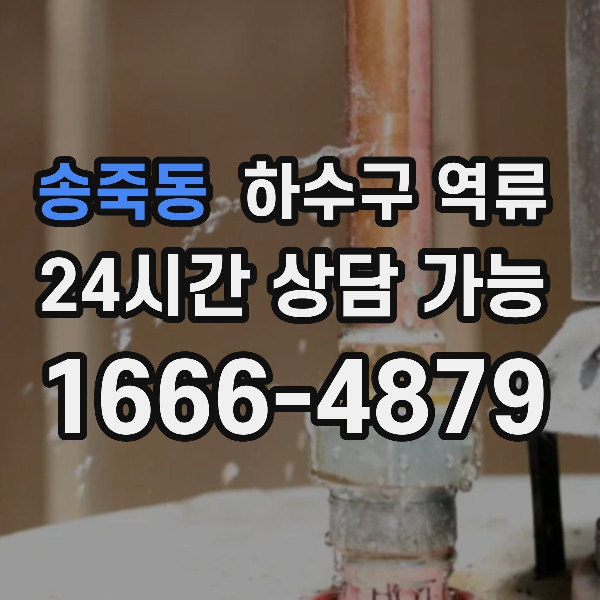 송죽동 하수구 역류