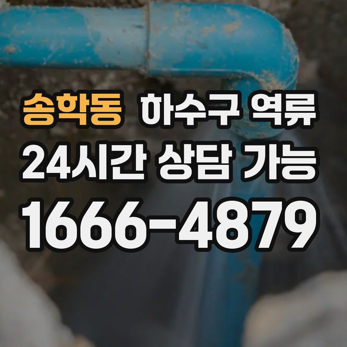 송학동 하수구 역류