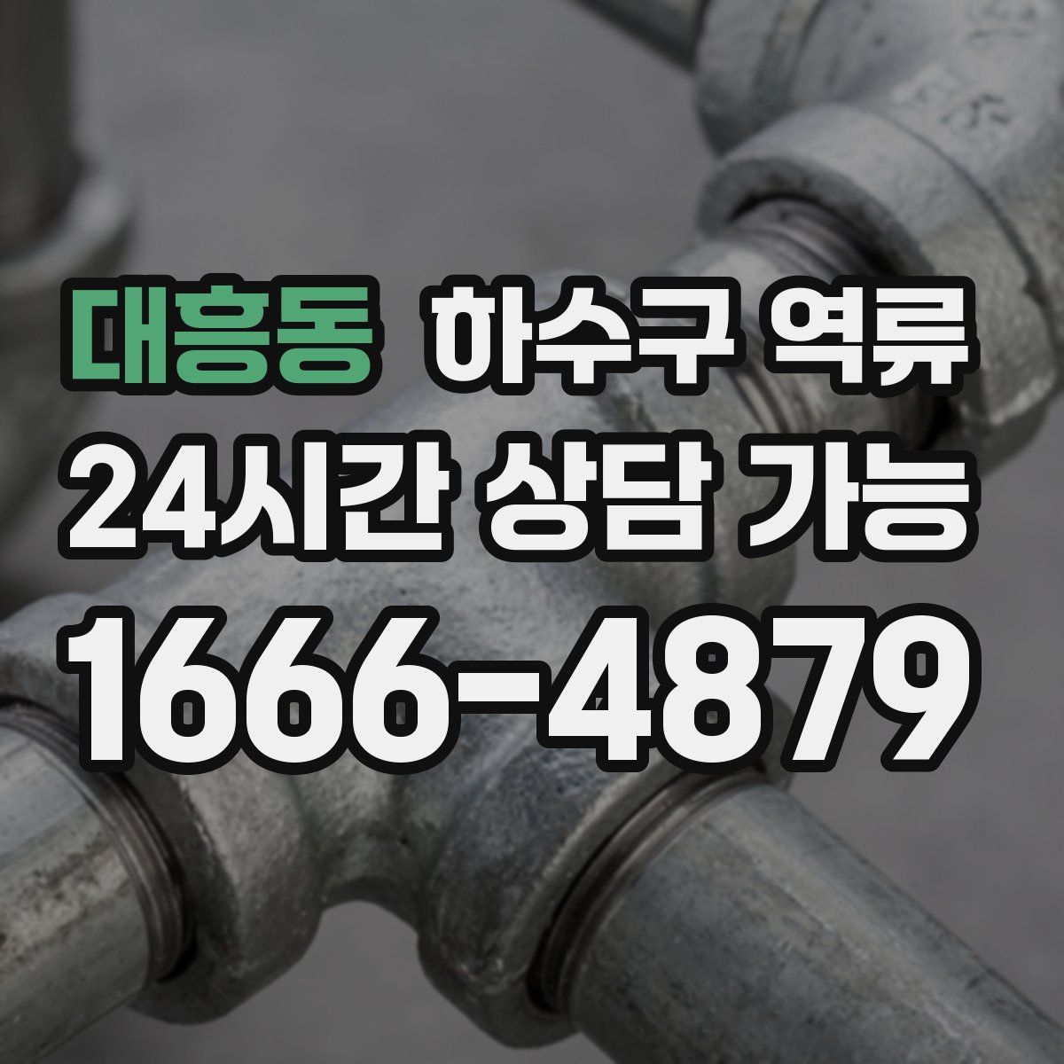 대흥동 하수구 역류