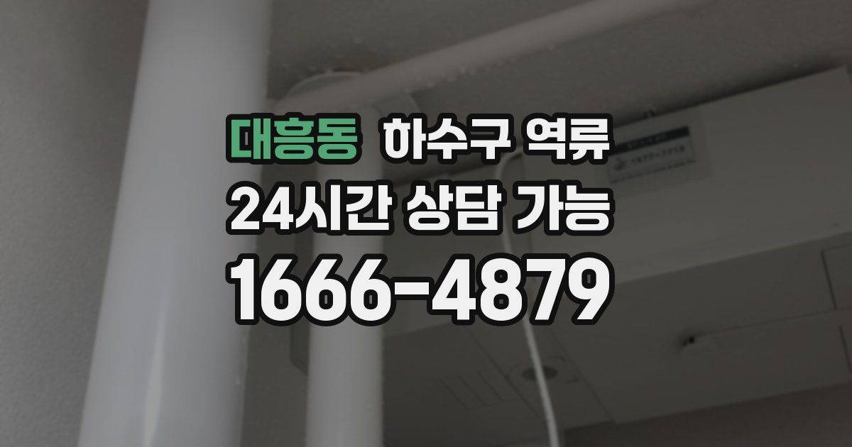 대흥동 하수구 역류