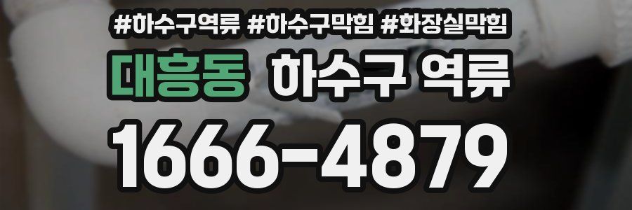 대흥동 하수구 역류