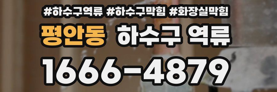 평안동 하수구 역류