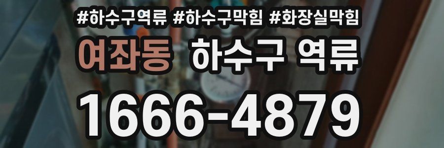 여좌동 하수구 역류