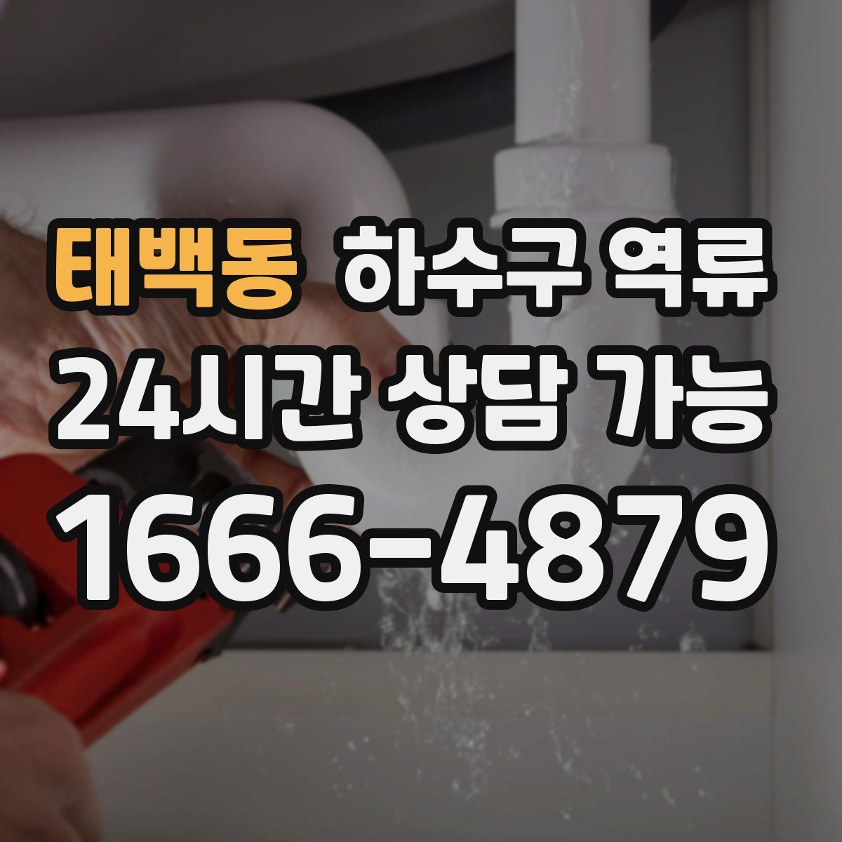 태백동 하수구 역류