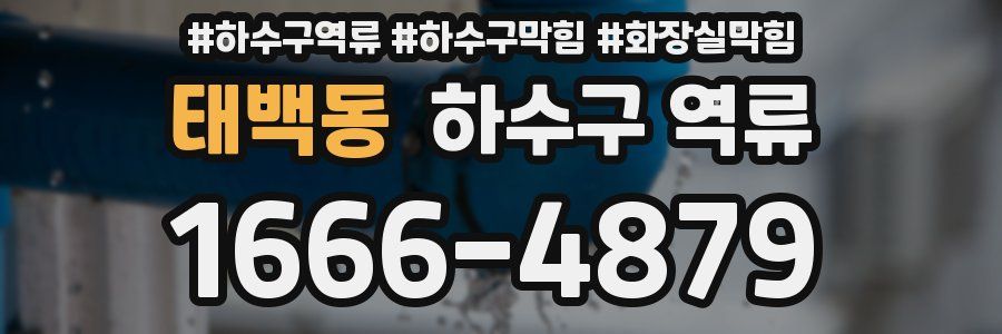 태백동 하수구 역류