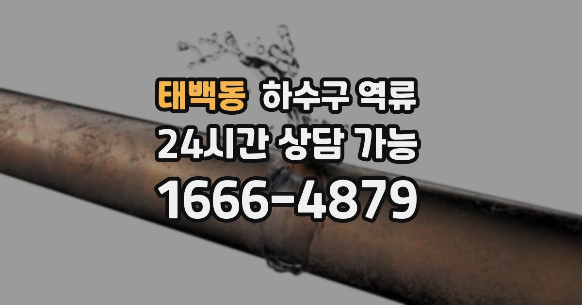 태백동 하수구 역류