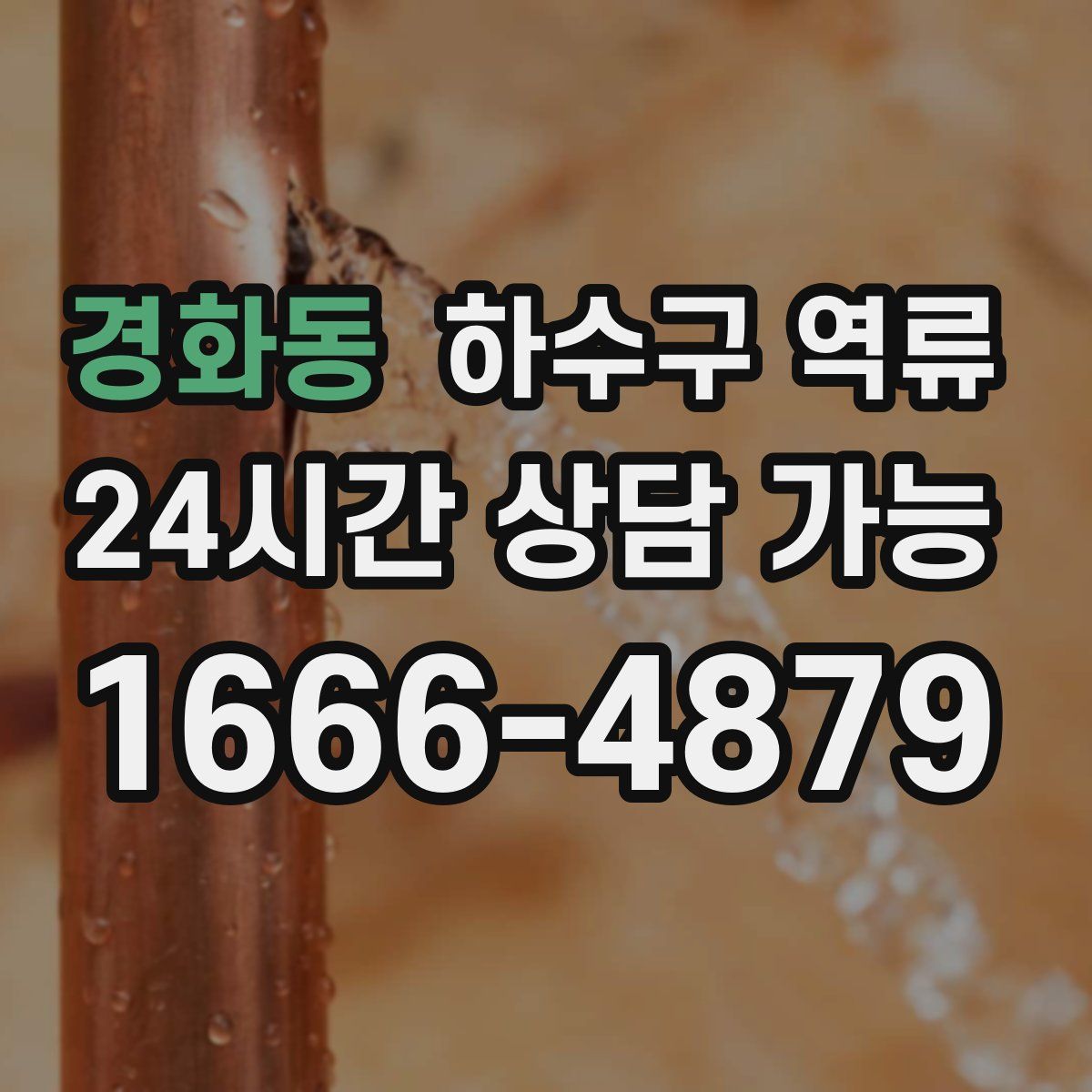 경화동 하수구 역류