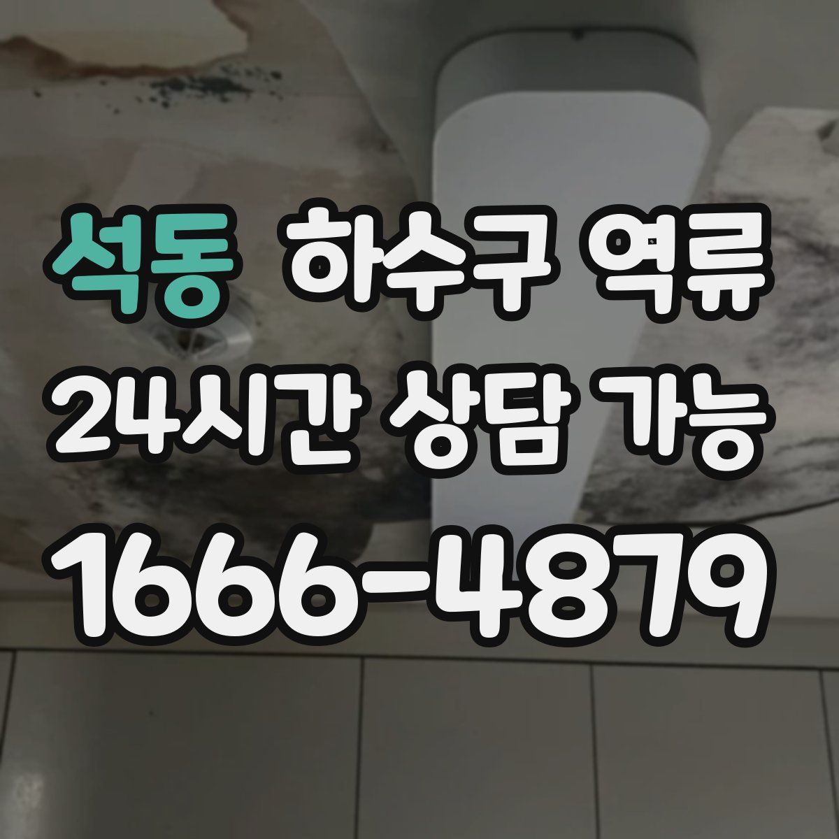 석동 하수구 역류