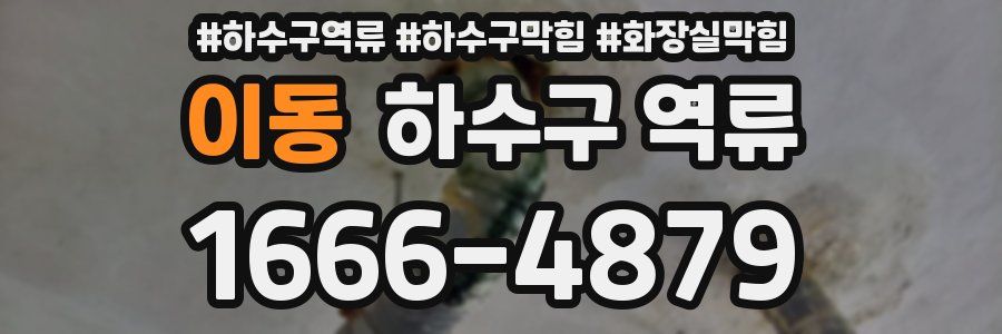 이동 하수구 역류