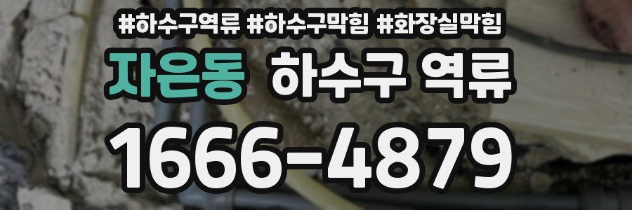 자은동 하수구 역류