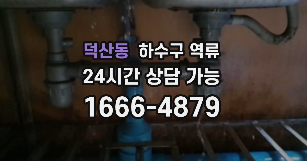 덕산동 하수구 역류